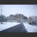 Neve